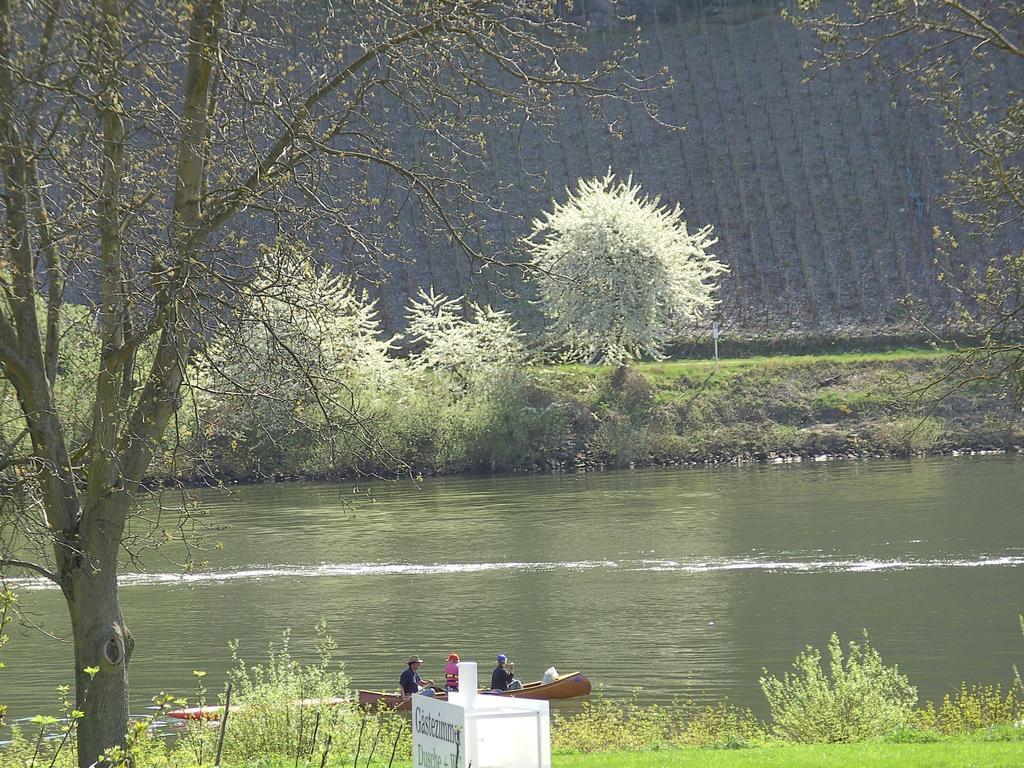 Haus Klosterblick Kröv Exteriör bild